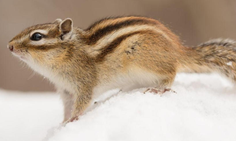 上海大屯煤电有限公司轮播图3