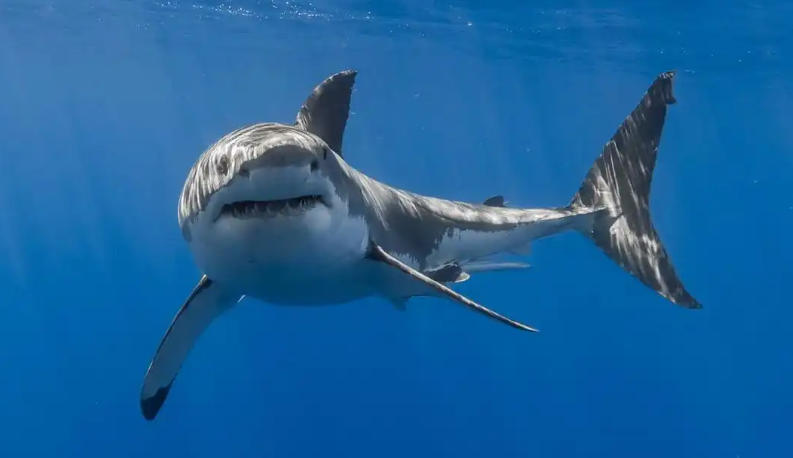 上海大屯煤电有限公司轮播图4