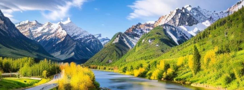 上海大屯煤电有限公司轮播图2